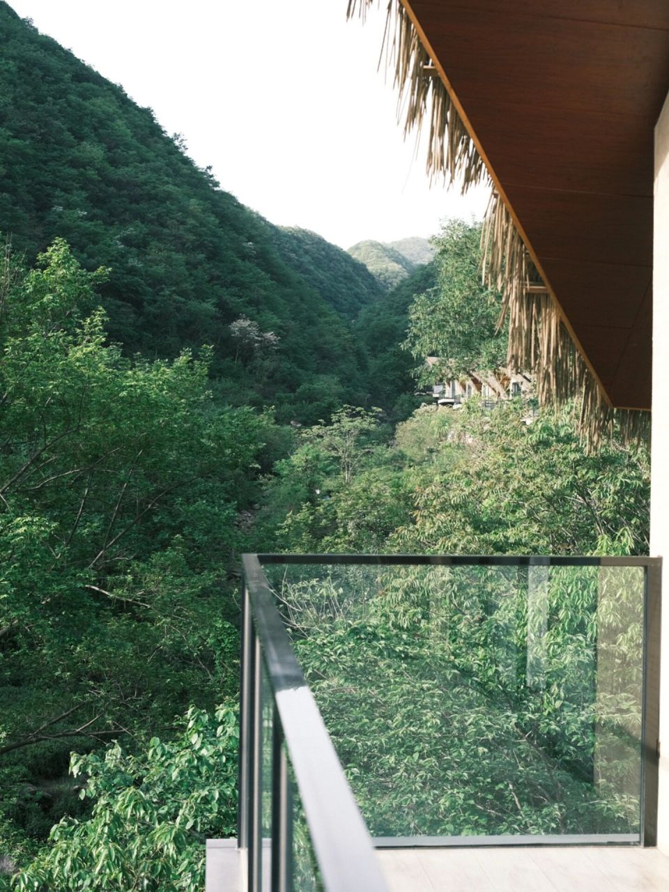 「枕溪秘境」南湾湖边的小小民宿 信阳采茶游算是我们的临时起意,出发