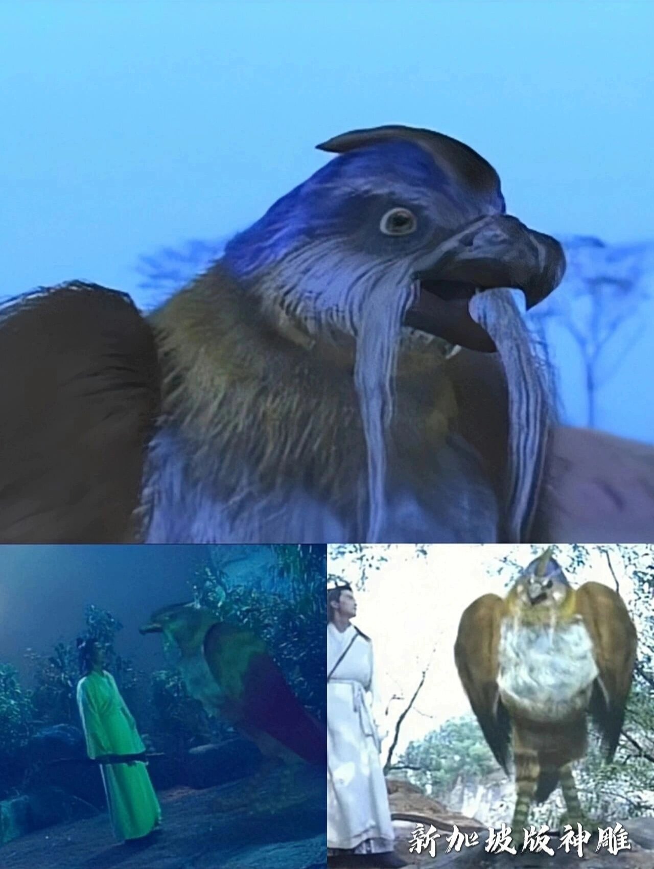 《神雕侠侣》各个影视版本的雕兄