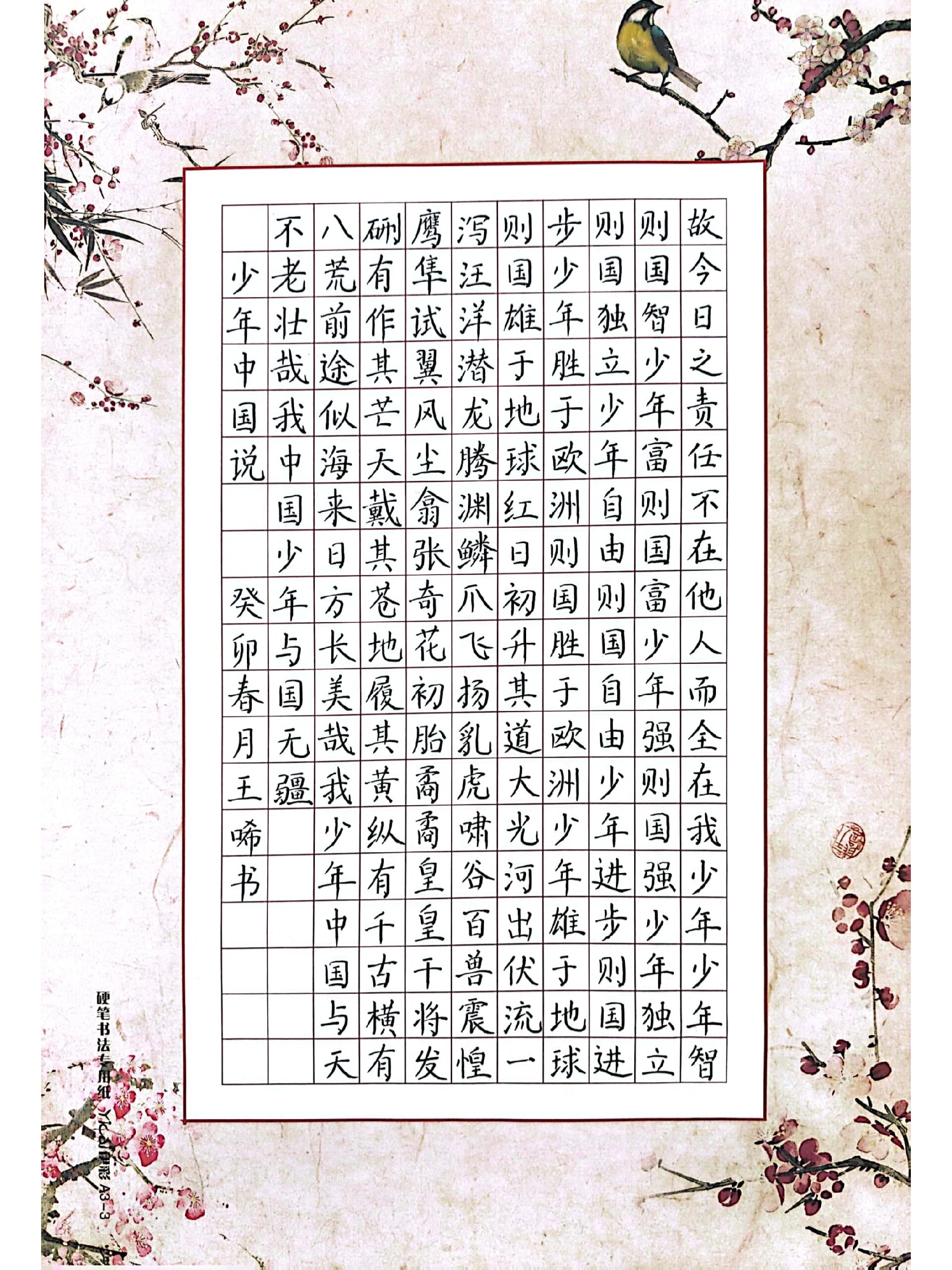 硬笔书法作品 a3纸  《少年中国说》小字版和大字版