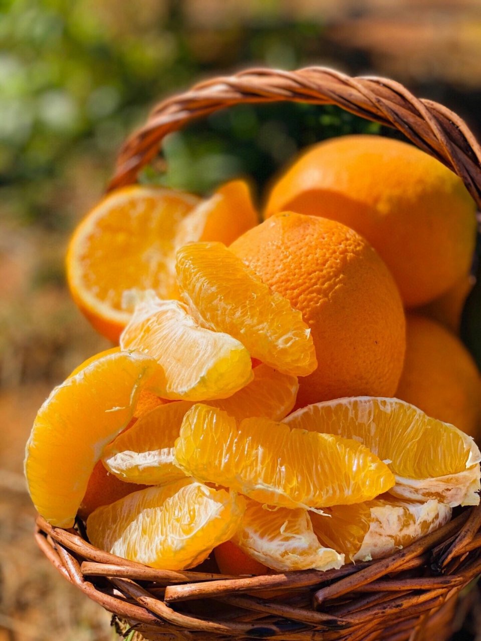 攀枝花纽荷尔脐橙手剥橙高品质水果 纽荷尔甜橙92天然的维c橙汁 它