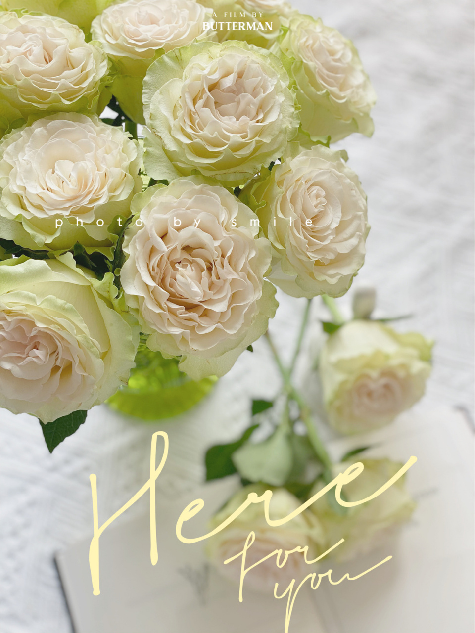 「琉璃翠」玫瑰 铁头小翠初体验 花期超级长 波浪边边超级可爱 白绿的