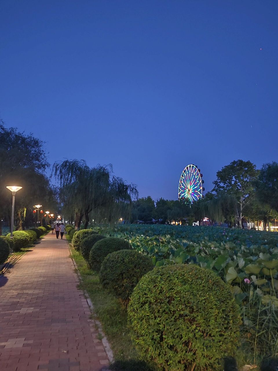 美丽的咸阳湖,有看海的feel 小时候的渭滨公园如今变得这么美,有种