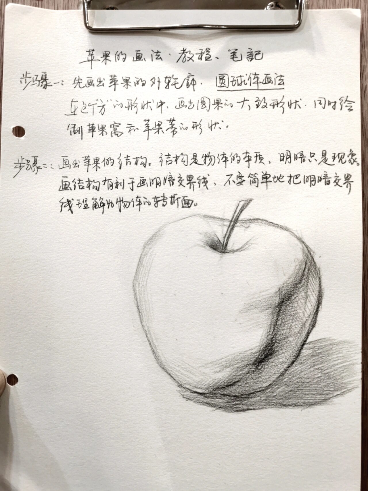 苹果素描画 步骤图片