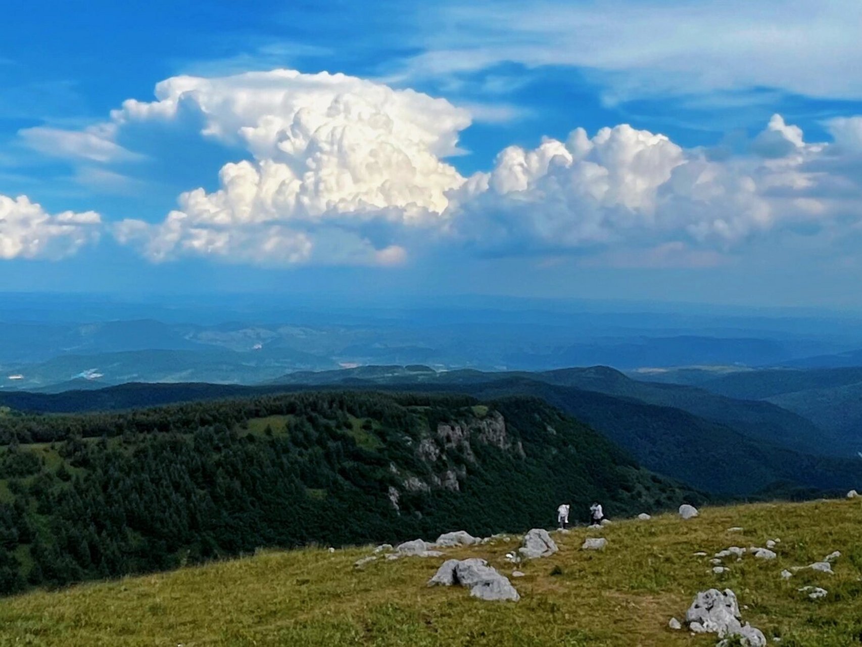 山西最美草原 沁源县花坡草原