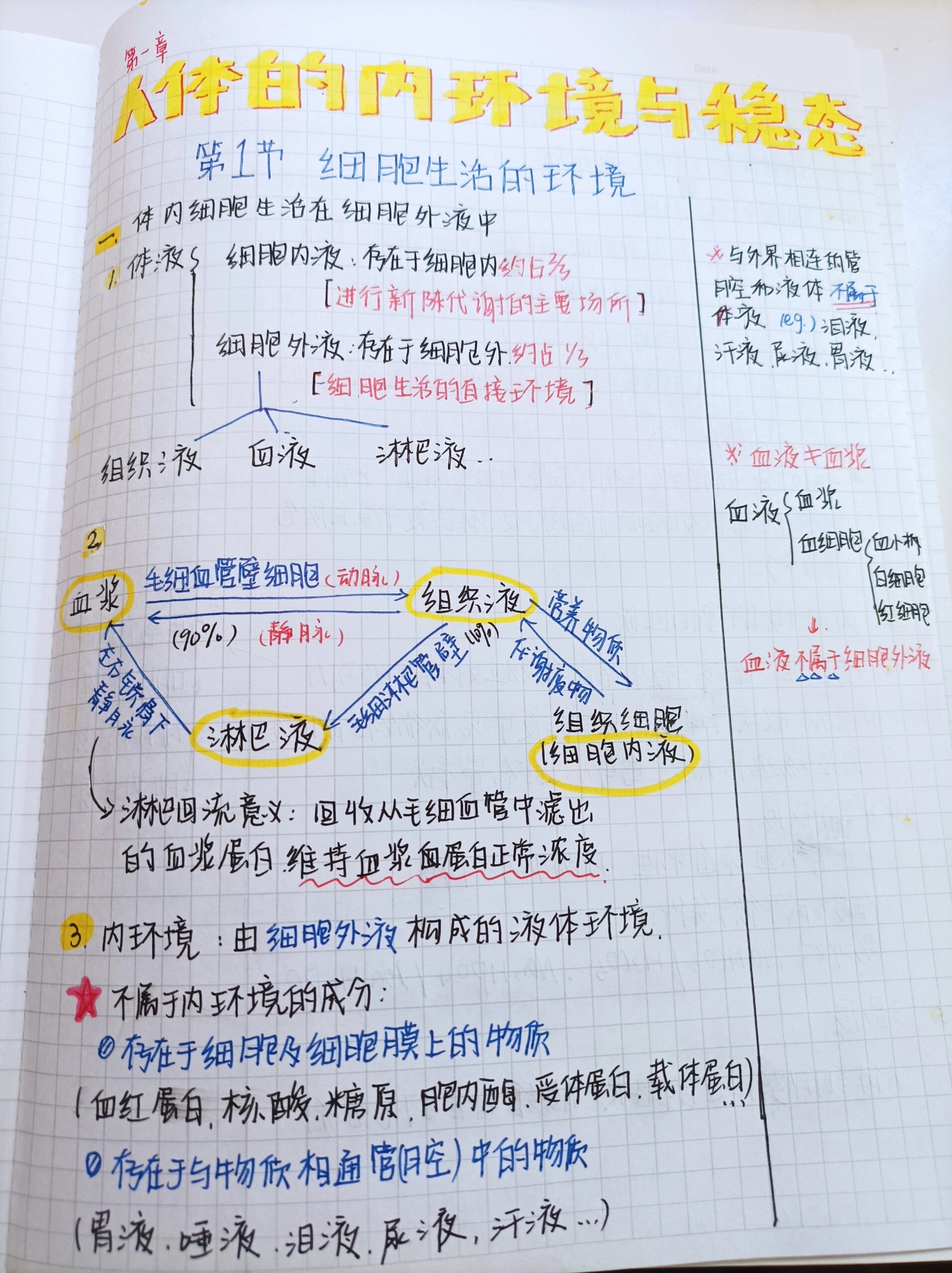 人体内环境结构示意图图片