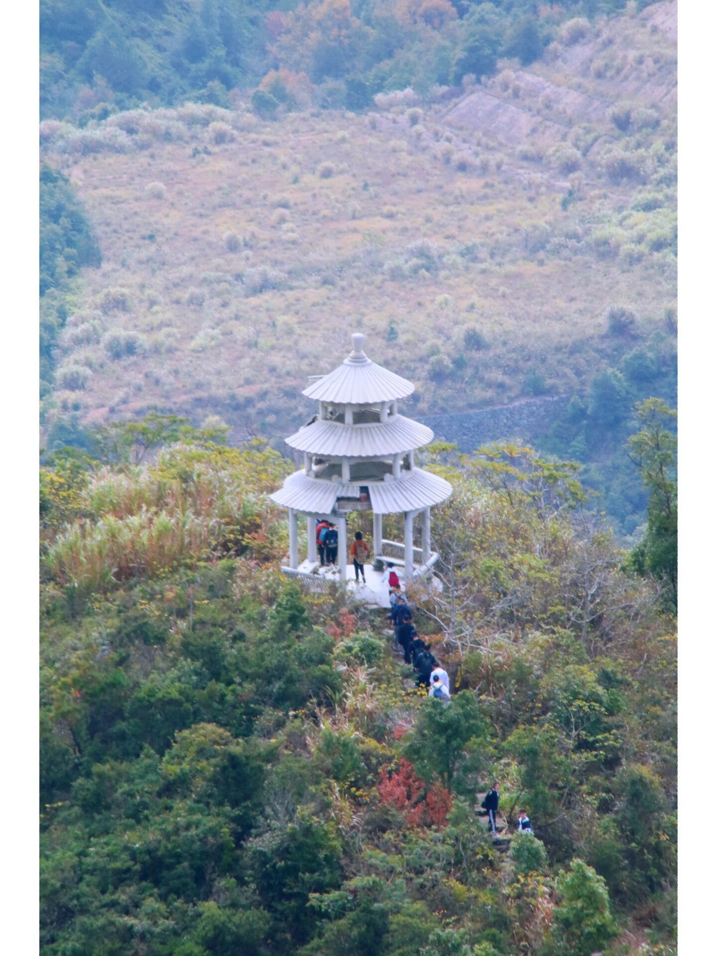 青禾户外徒步社群⛰️|穿越玉环大雷山