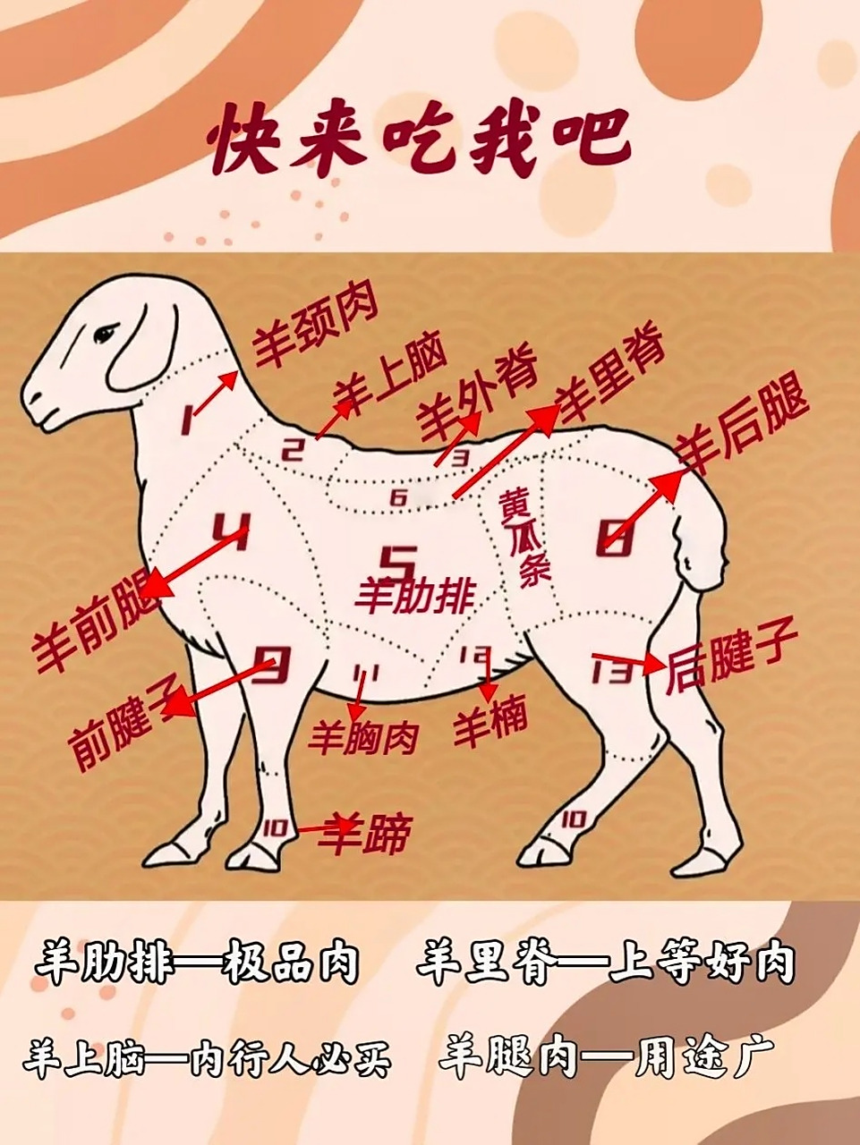 常见羊肉部位的区别与用途|一张图讲清楚!