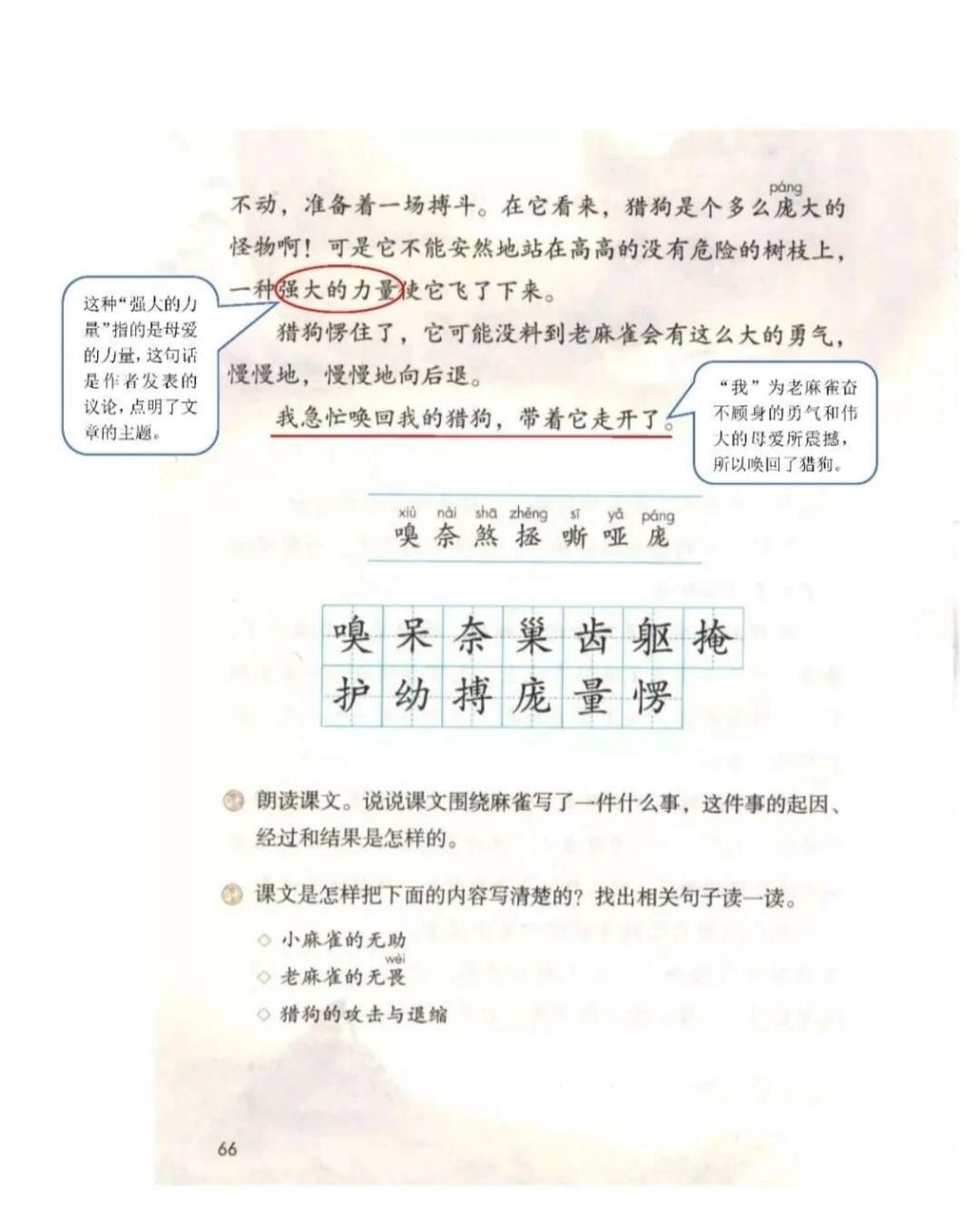 四上第17课《麻雀》课堂笔记#语文笔记#小学语文课堂笔记#小学