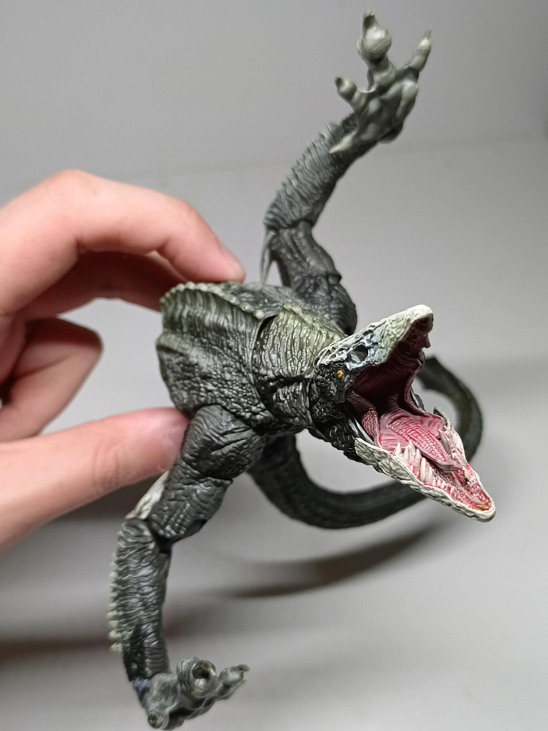 海雅 骷髅蜥蜴 骨爬