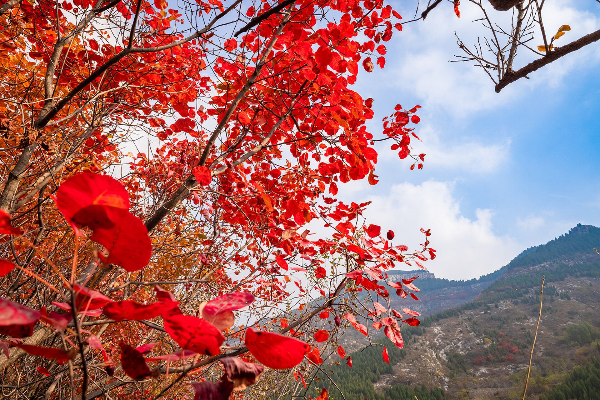 10月29日山东新闻 时值深秋,地处大山