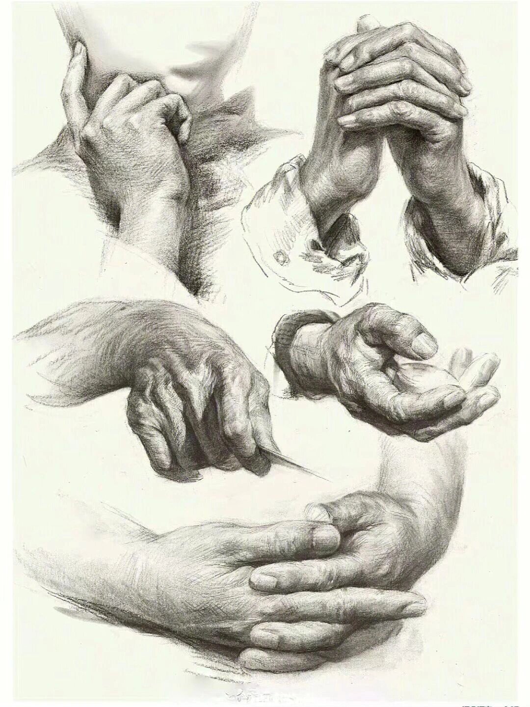 素描手部练习参考