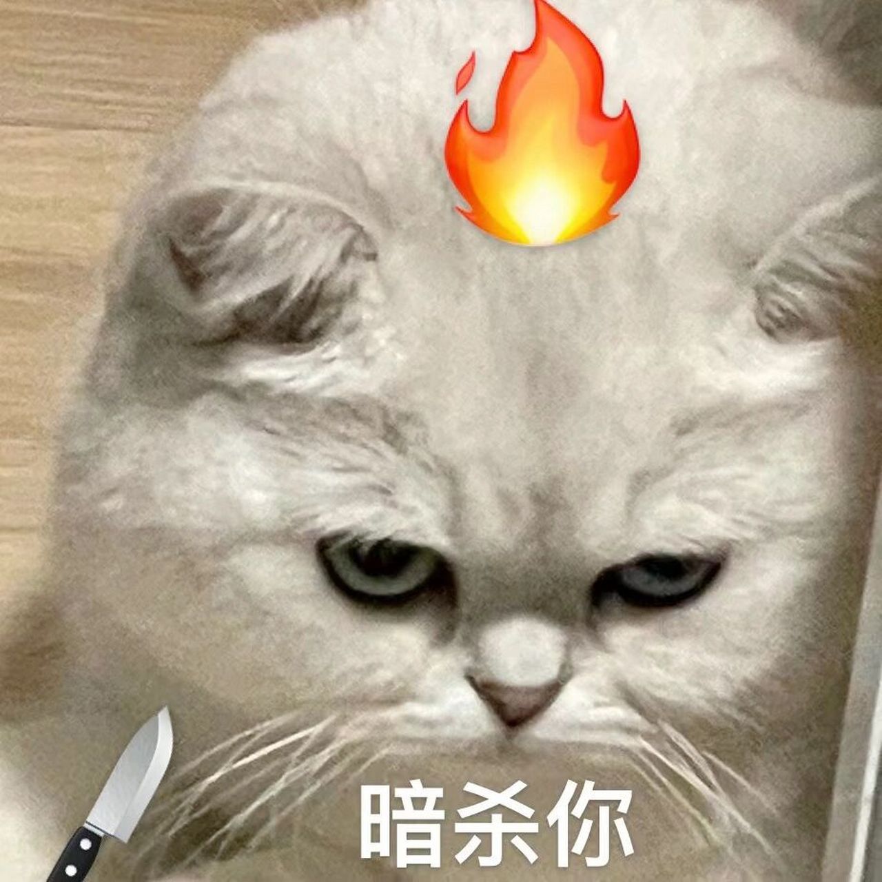 生气小猫表情包合集08 牛奶小表情真的好多啊哈哈哈哈!