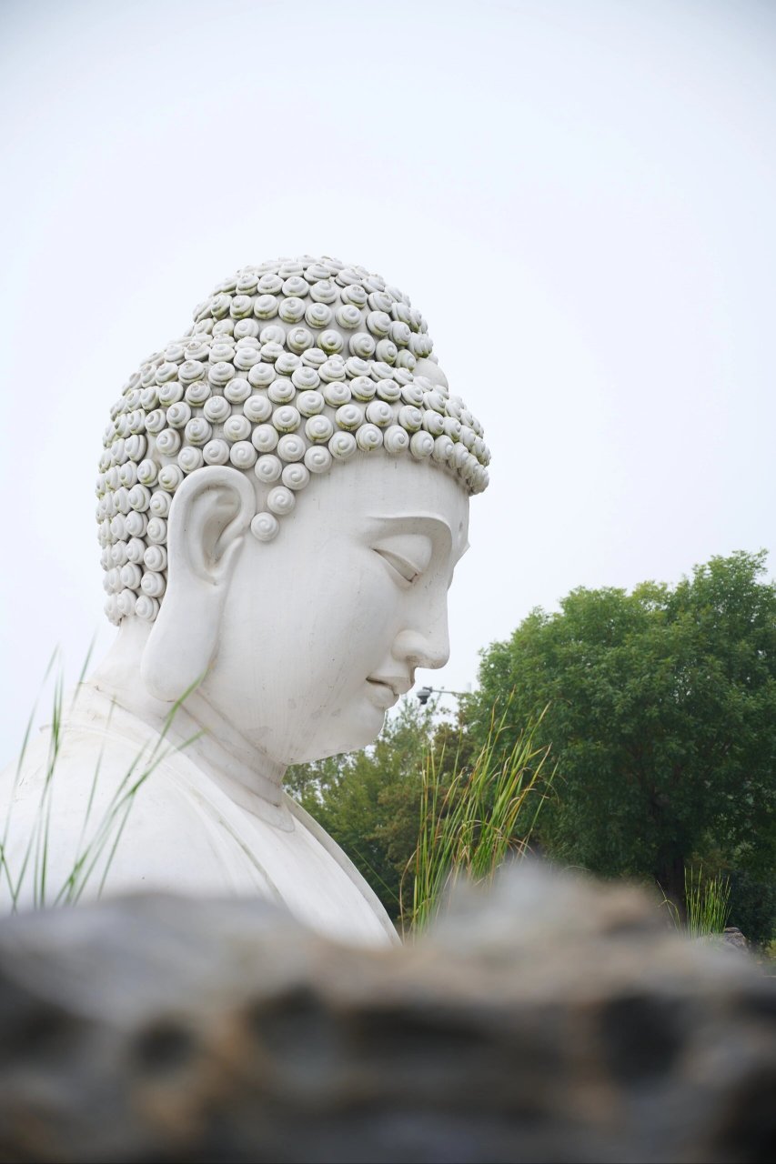 观音寺的半身佛像,东庐山溧水观音寺是南京鸡鸣寺前后捐资达100余万