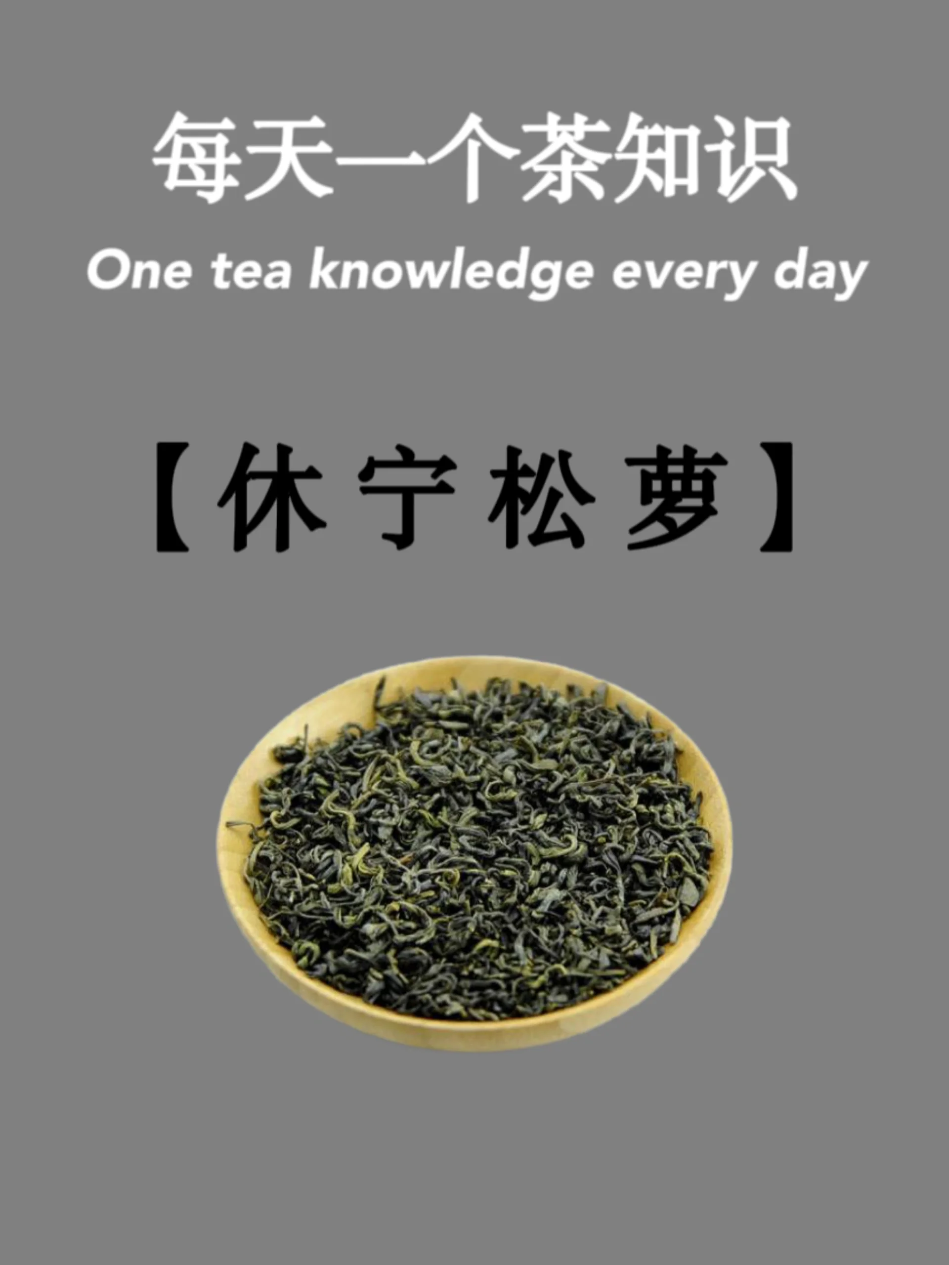 每天一个茶知识