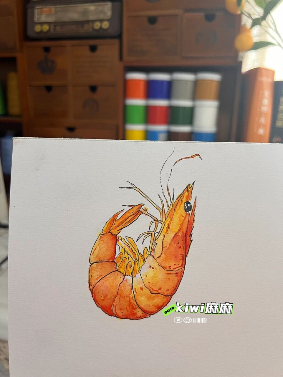 海虾水彩简笔画 今天画条小海虾97小朋友们画起来吧