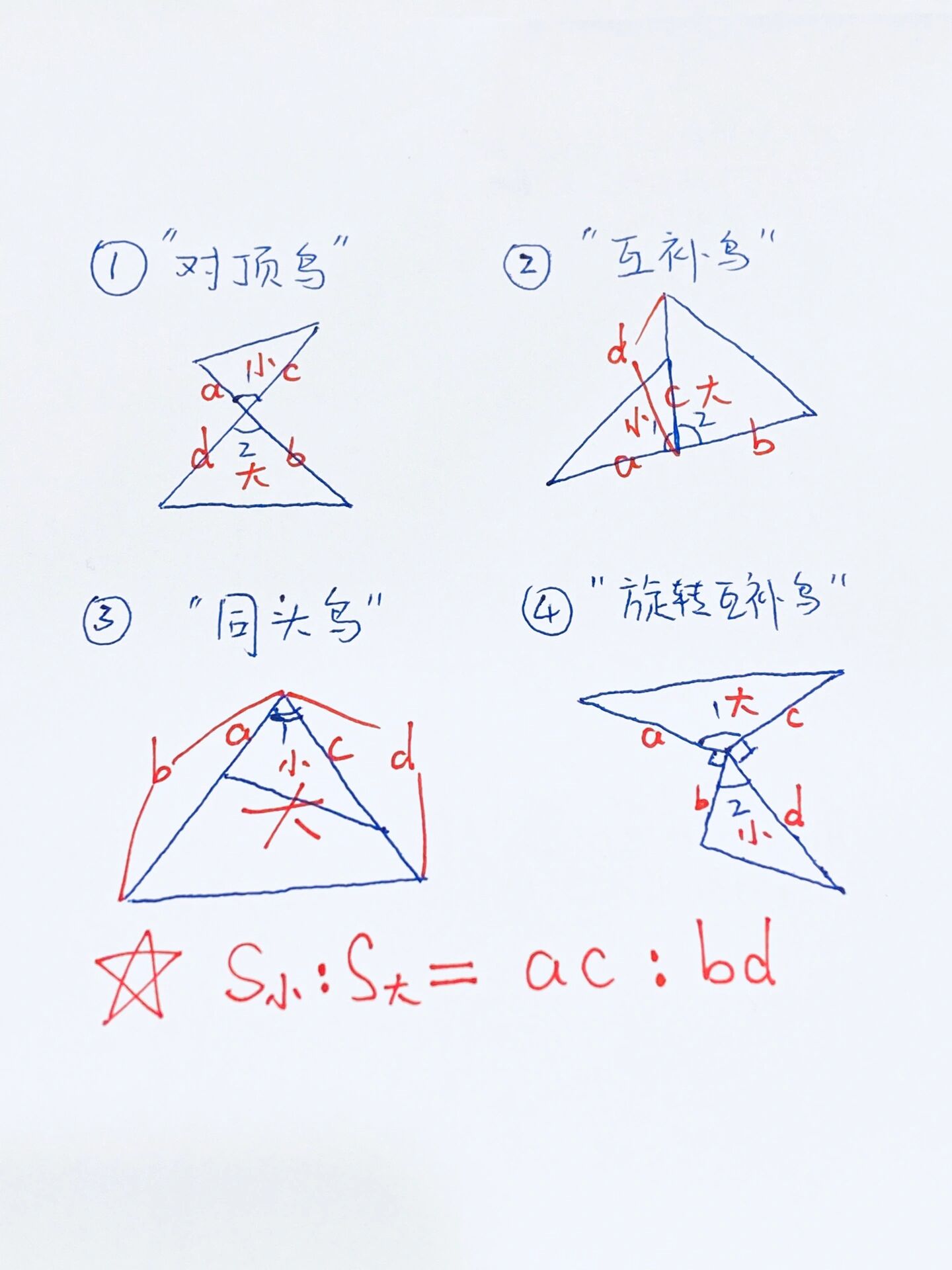 模型,大鸟比小鸟=各自翅膀乘积比 大鸟与小鸟的鸟头要么共角,要么互补