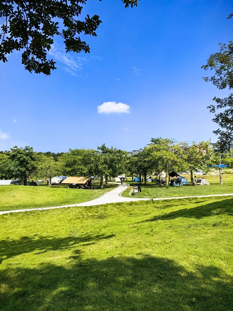 从化风云岭森林公园 大草坪,小河流,适合娃疯跑玩游戏.