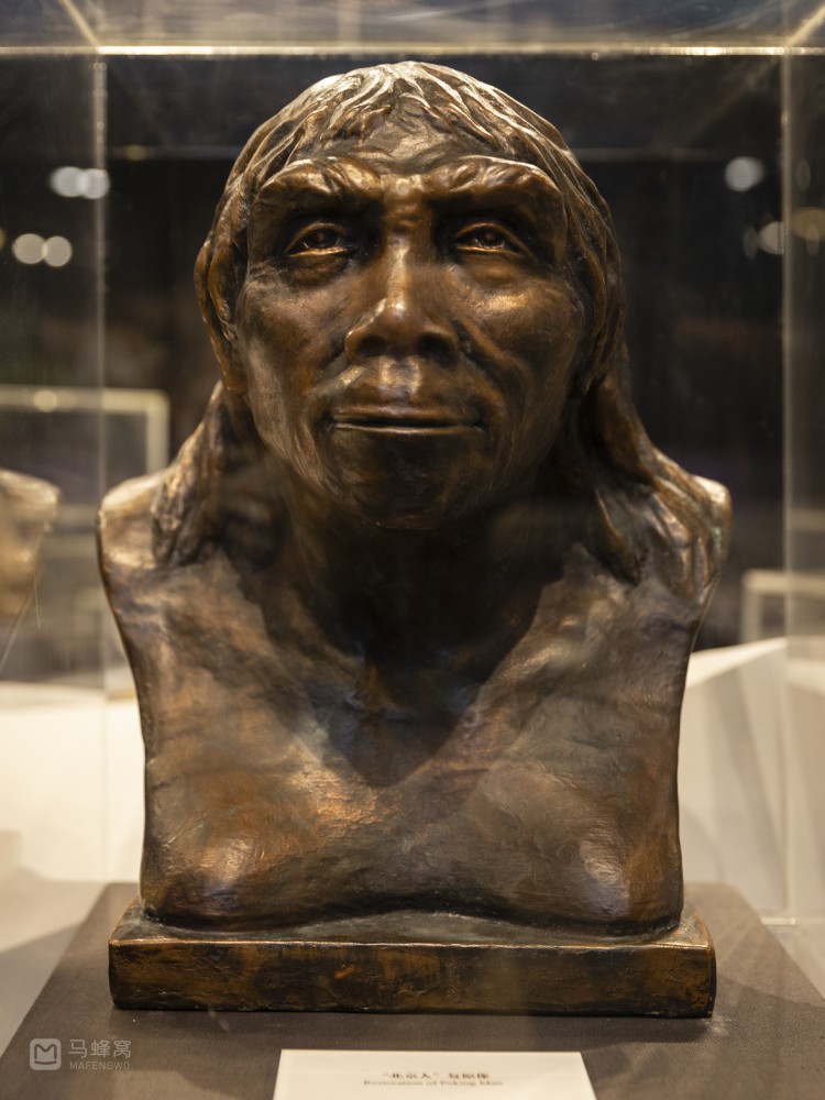 北京|周口店遗址博物馆,寻找"北京人"的解密