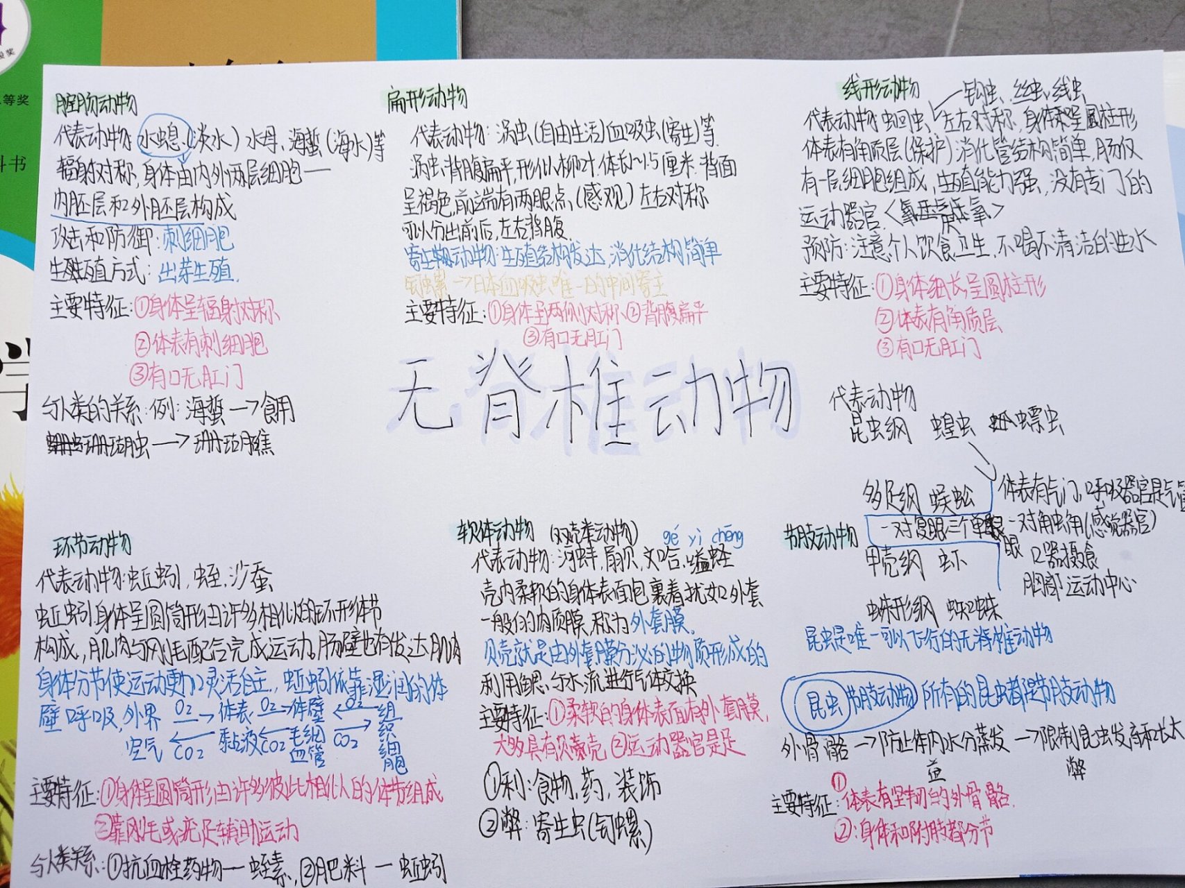 八上无脊椎动物思维导图