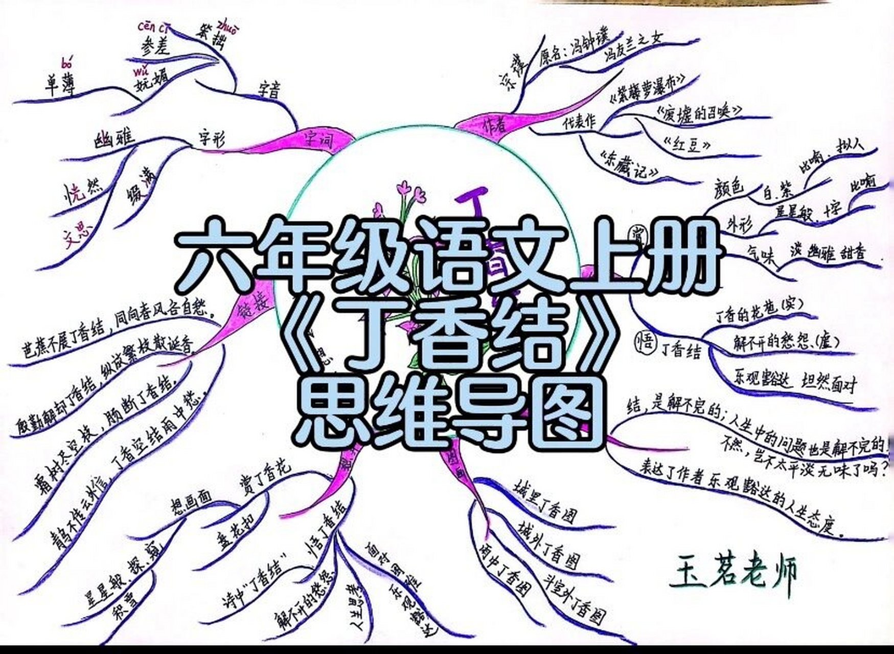 六年级语文上册第2《丁香结》思维导图