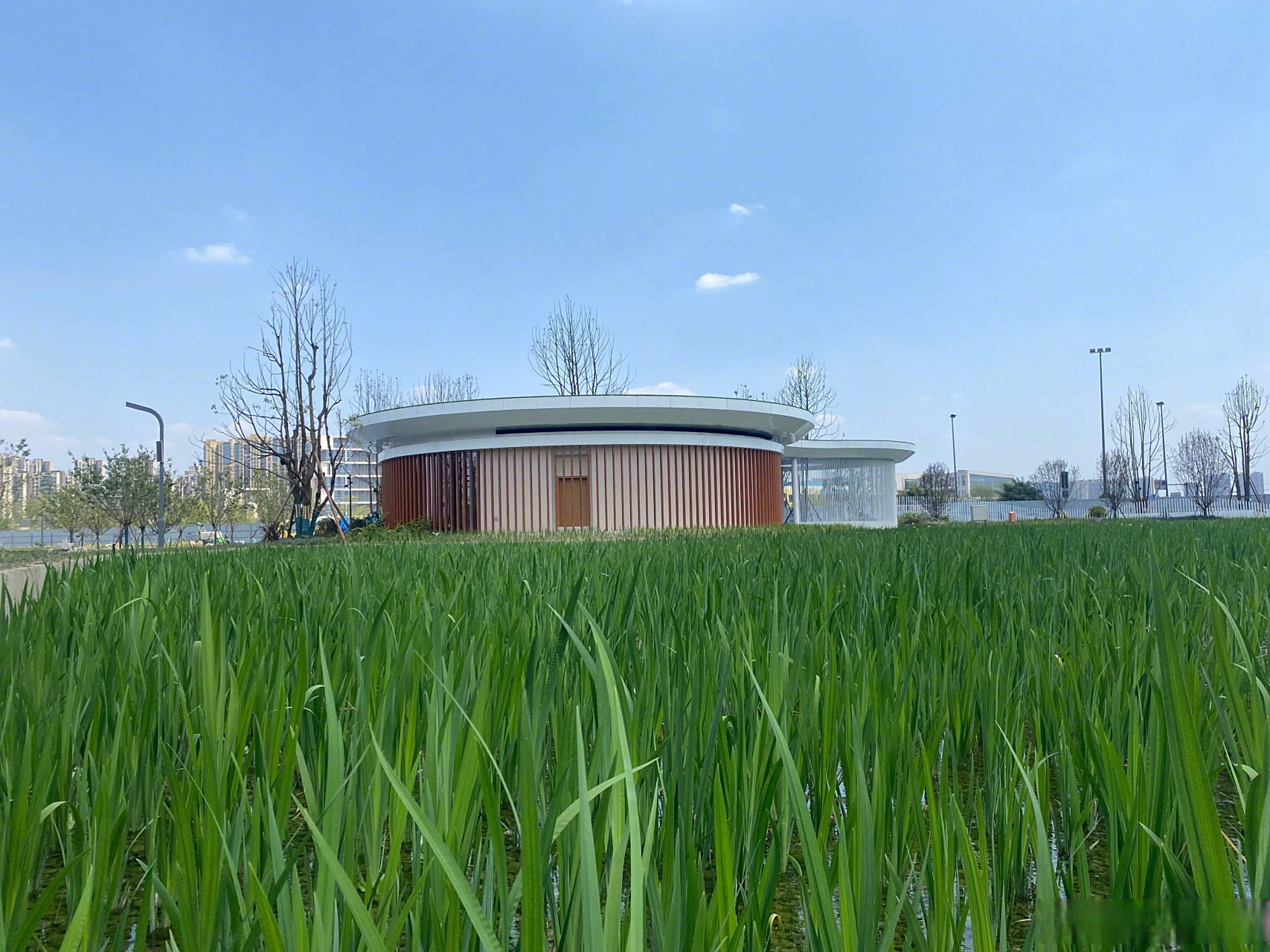 【成都面积最大垂直流人工湿地公园5月对外开放】4月4日,位于成都高新