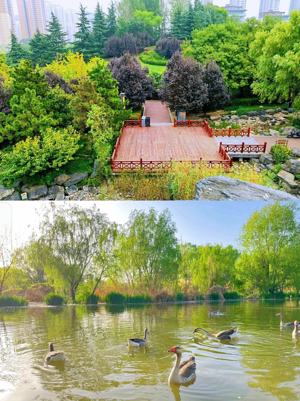 团建攻略|99『清凉山森林公园』露营野餐 团建千篇一律无创新71