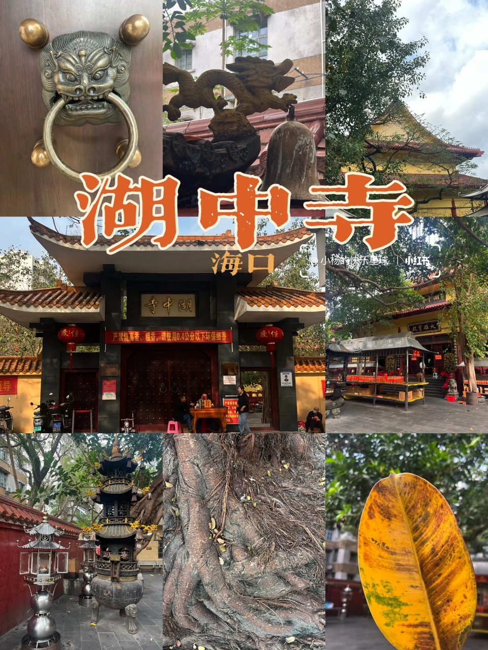海口|湖中寺 75景点:海口湖中寺 99位置:海南省海口市秀英区海港