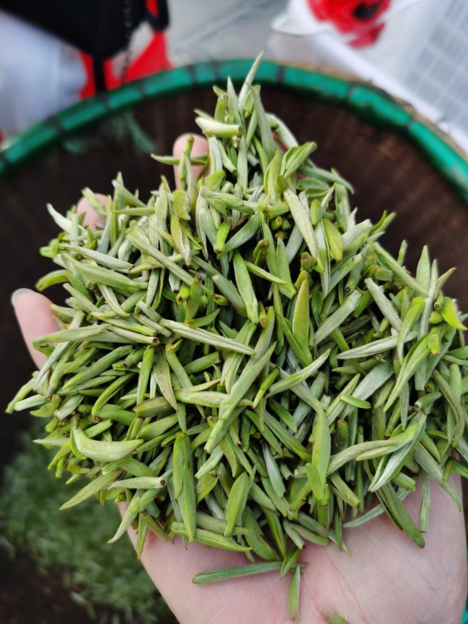 我在惠农网发现这个湖北绿茶恩施玉露 茶叶礼盒装 ,山区硒茶新茶,明前