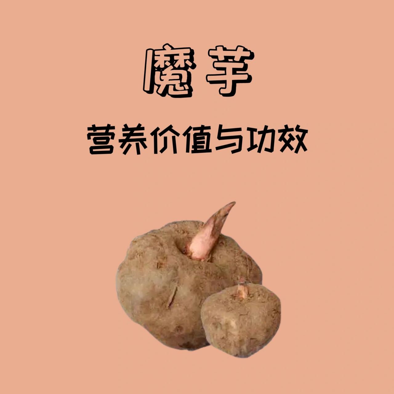 100种蔬菜的营养-魔芋6661556615 96魔芋,别名蒟蒻,磨芋,蒻