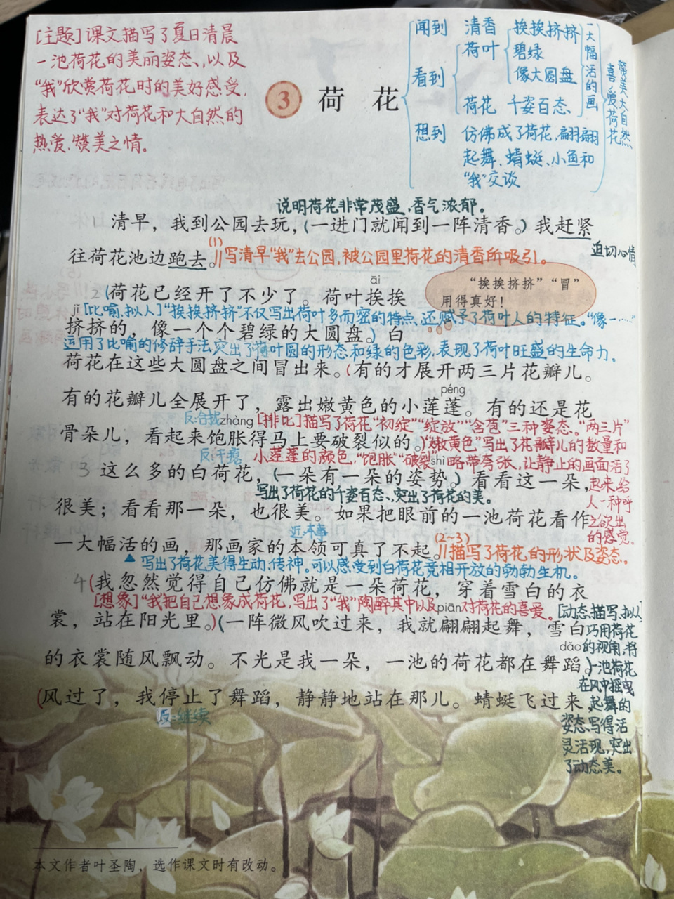 部编版语文三下《荷花》备课笔记94 97语文要素: 92阅读: 166