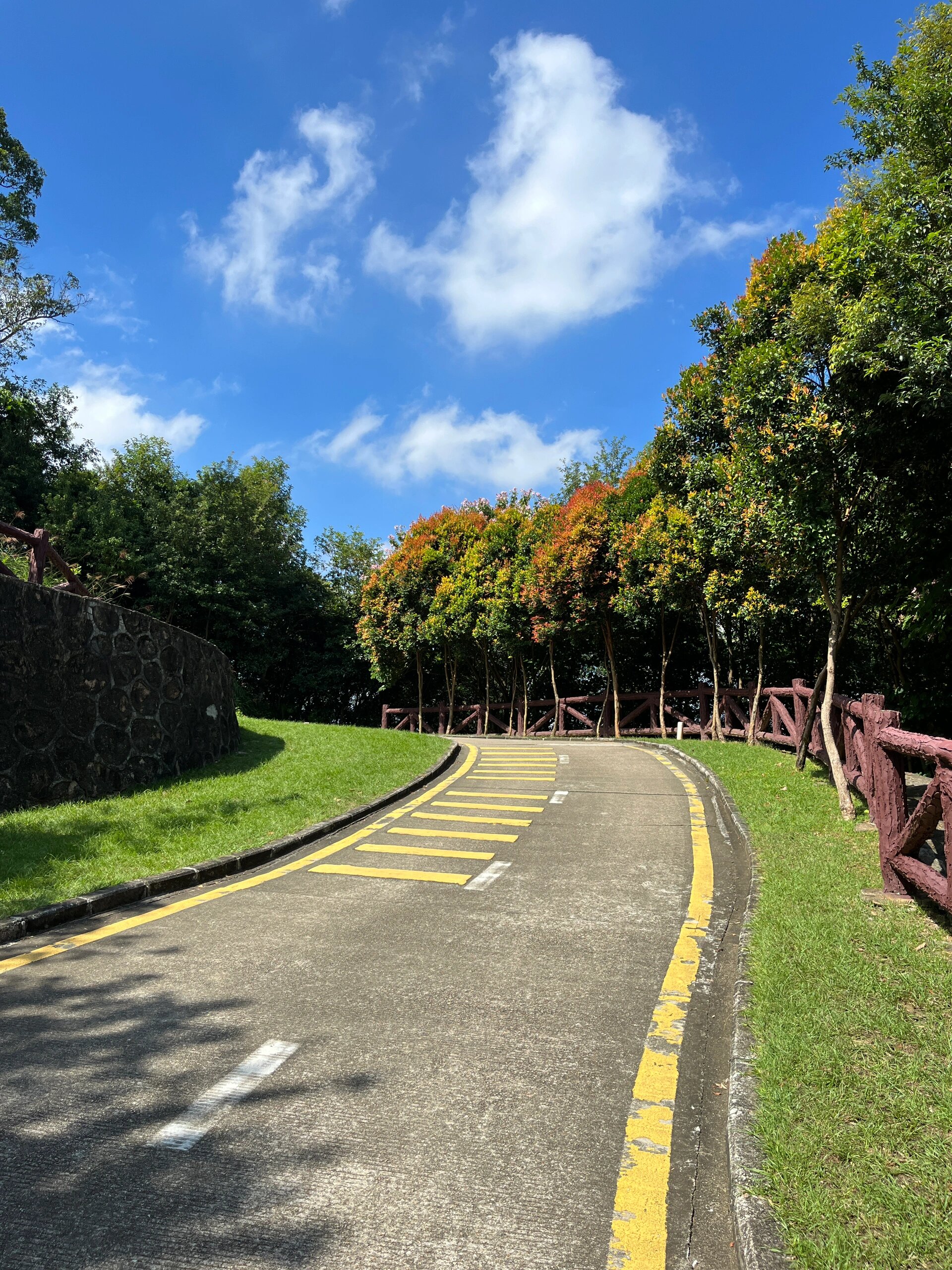 深圳city walk |银湖山郊野公园 路线9015:南门-北门 长度:10000