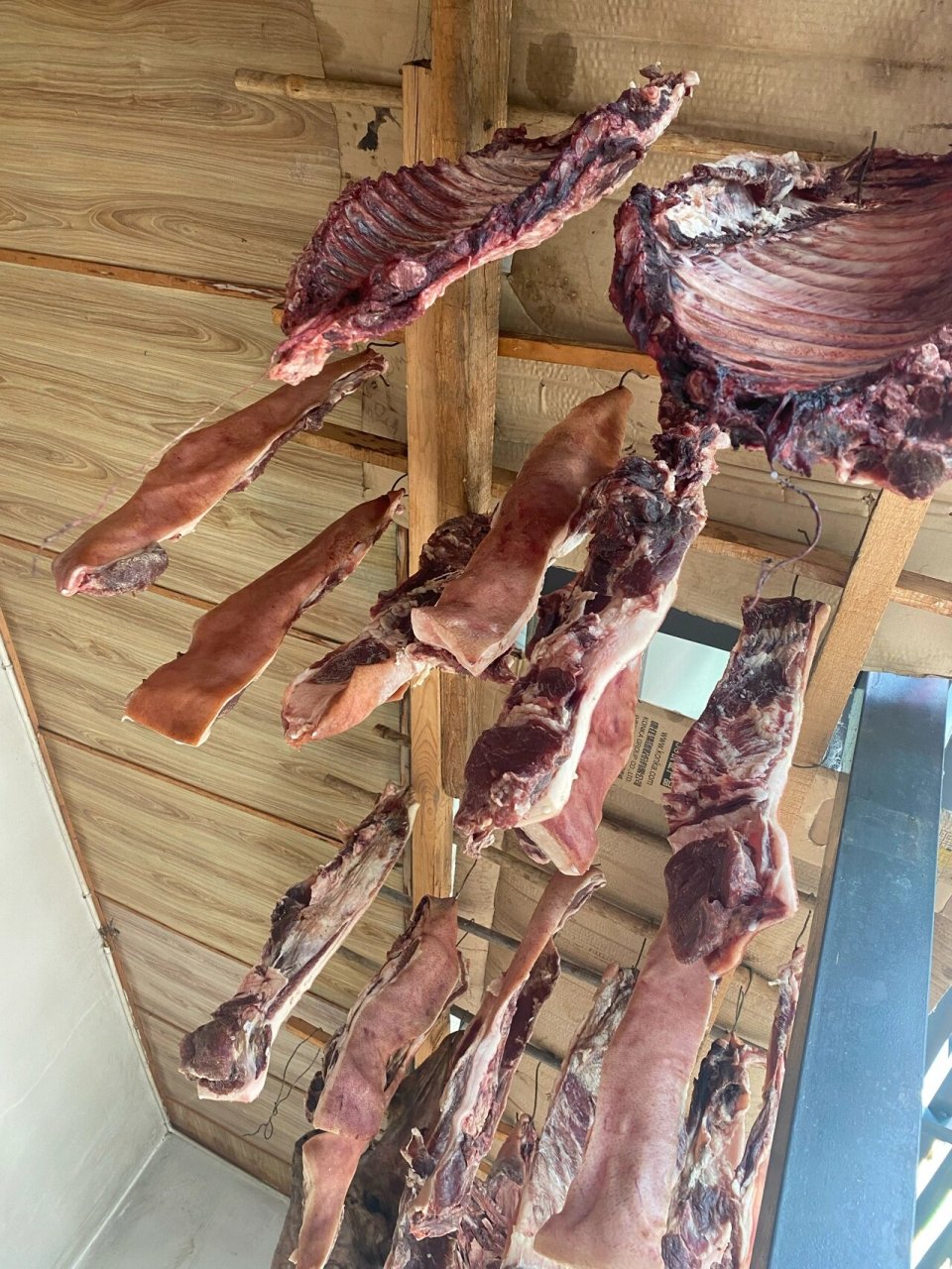 香格里拉餐桌美食 藏香猪肉 藏香猪又名"人参猪"和"蕨麻猪",是一种