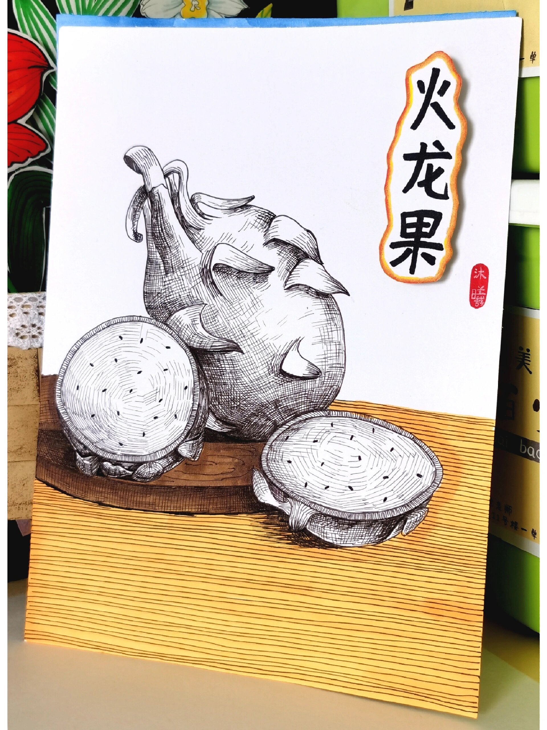 静物写生系列2︱水果—火龙果 适合四年级同学