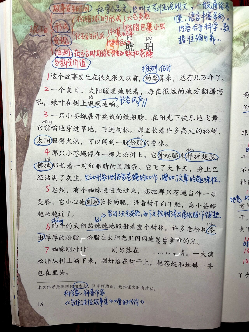 课文笔记|四下第5课《琥珀》 第二单元的人文主题是自然科学,语文要素