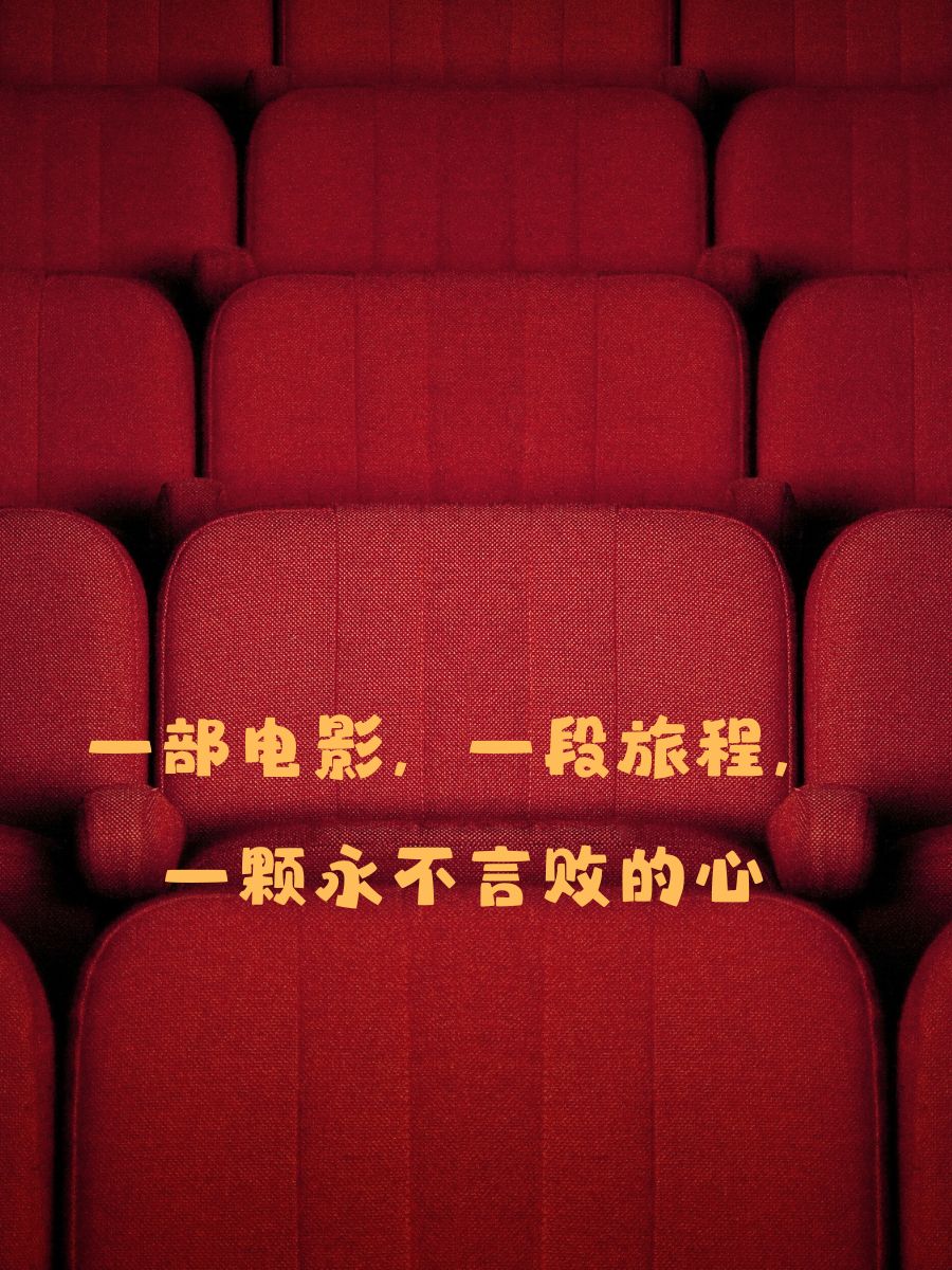 "电影里的阳光,照亮生活的每一个角落" 2.