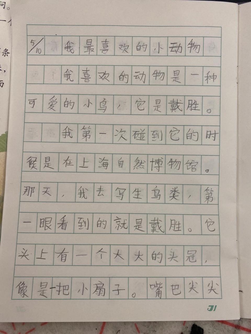 我喜欢的小动物作文图片