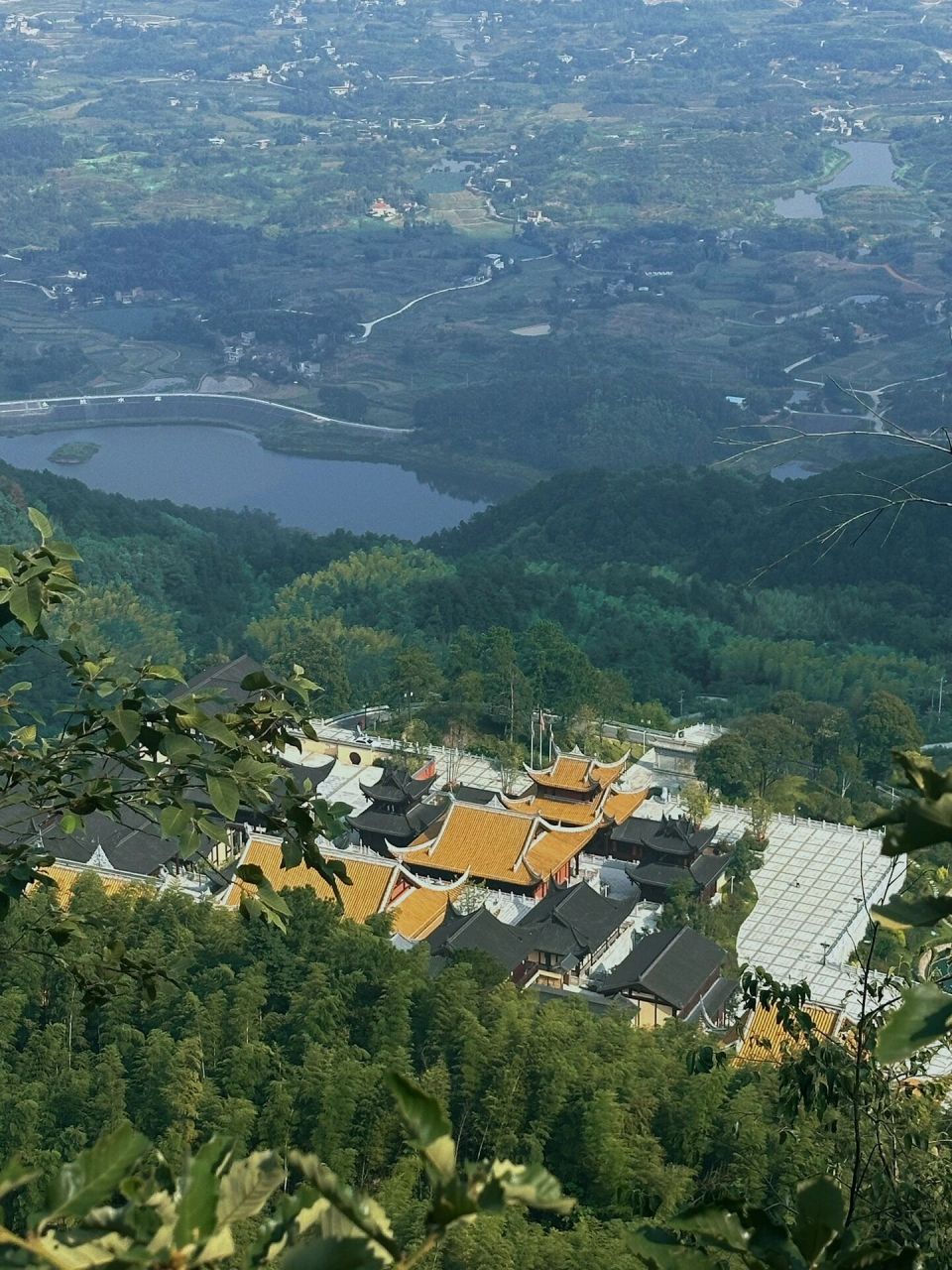 永川茶山竹海风景图片