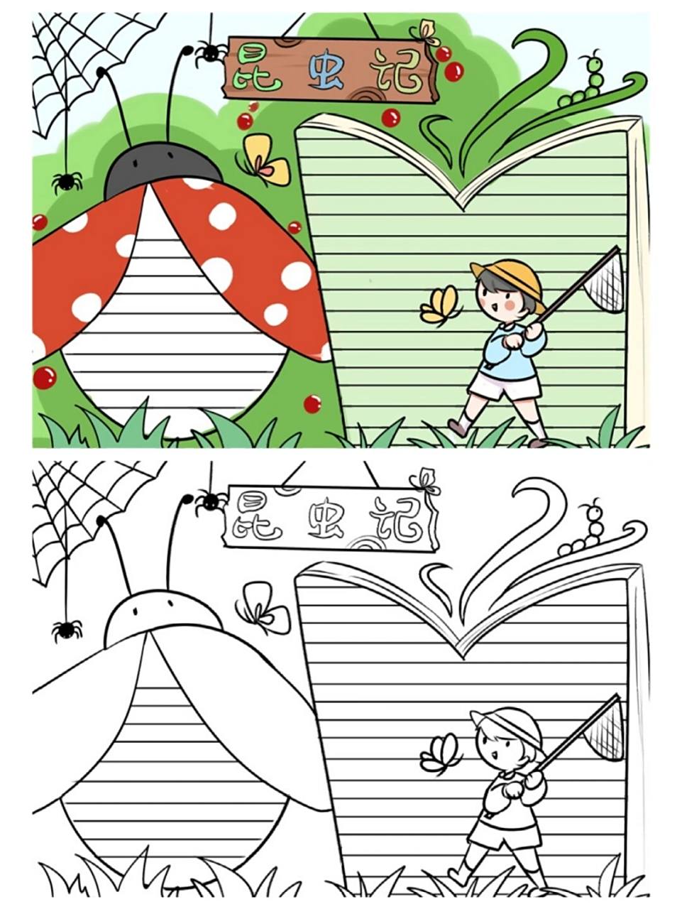 昆虫记手抄报 昆虫记手抄报和线稿,更多93主页,原稿线稿均有,#手