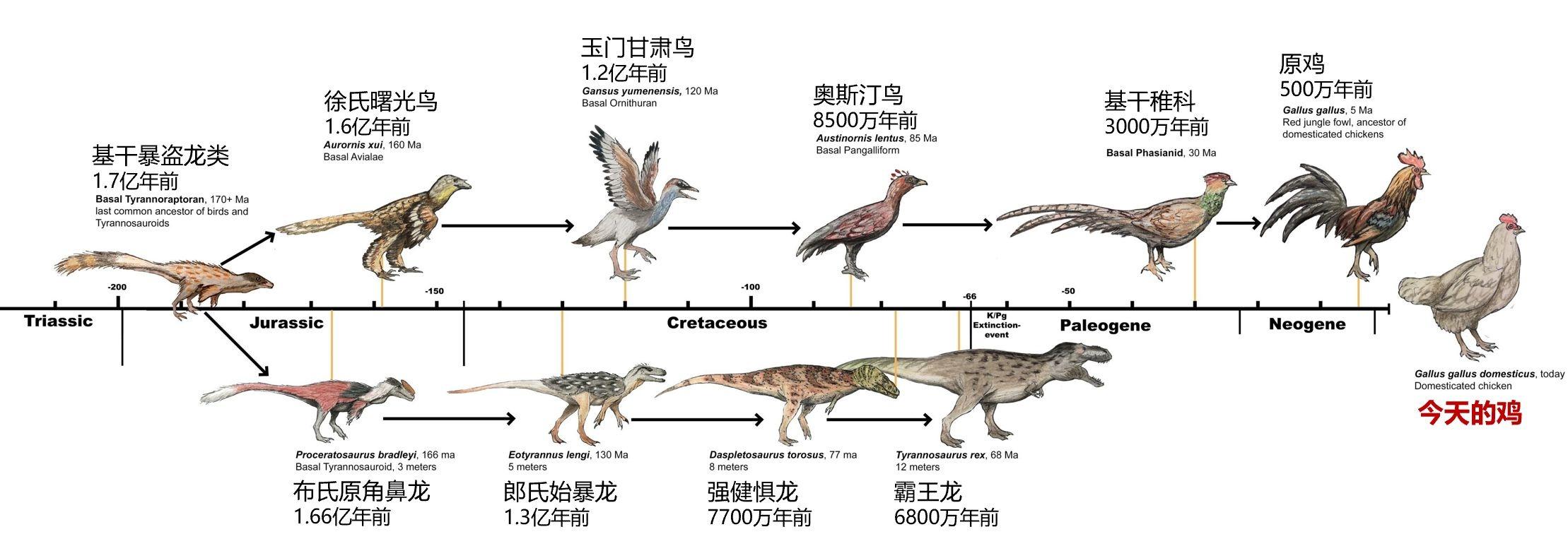 各种恐龙介绍图鉴图片