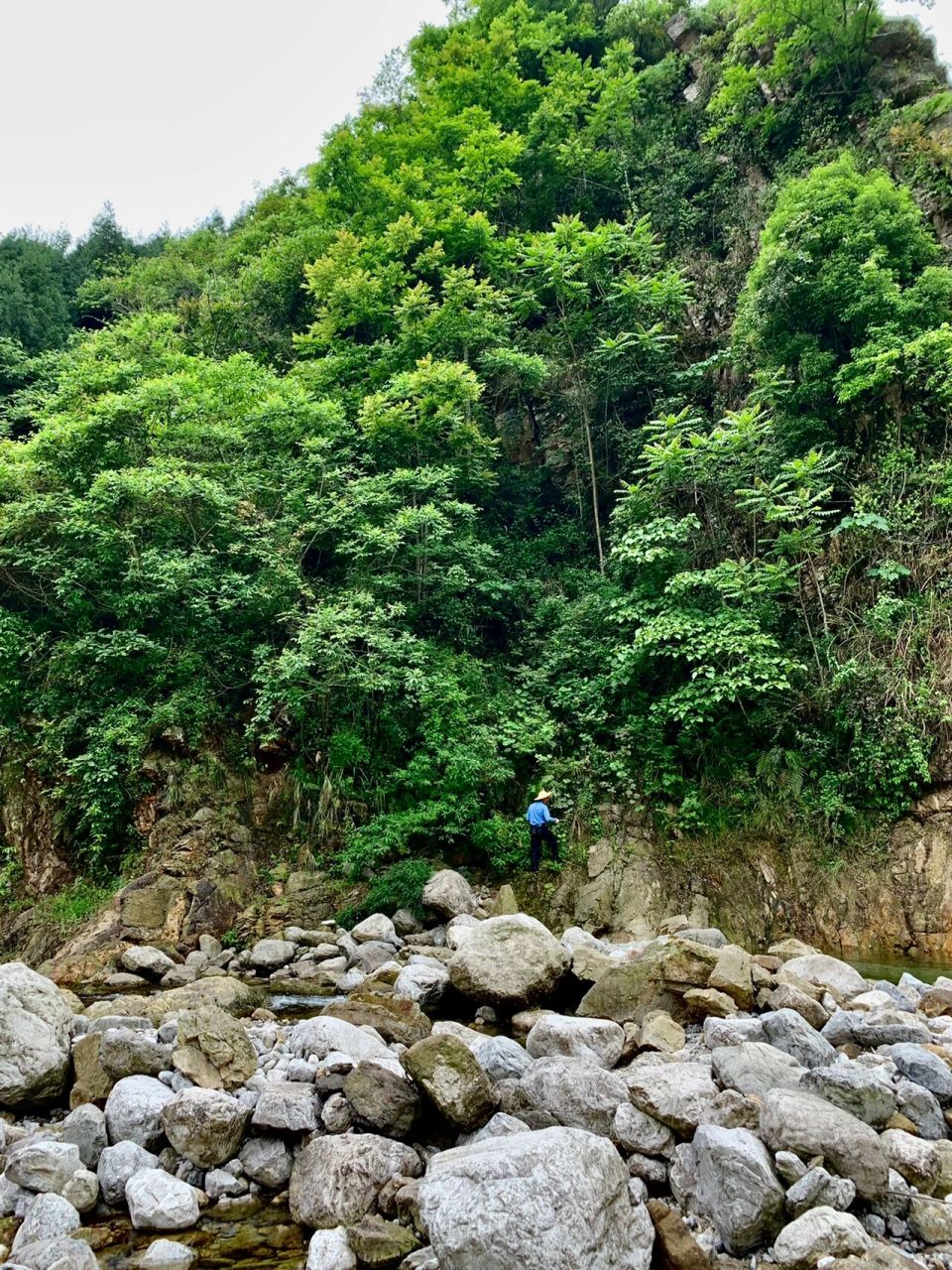 绵阳周边小众避暑地,20°c的清凉夏天 江油养马峡大家都知道吧,这个