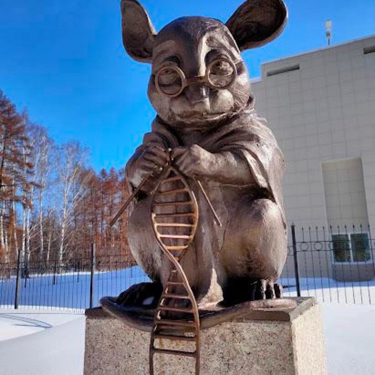 小白鼠纪念雕塑,为人类发现做出了贡献 92实验室小鼠纪念碑是一座