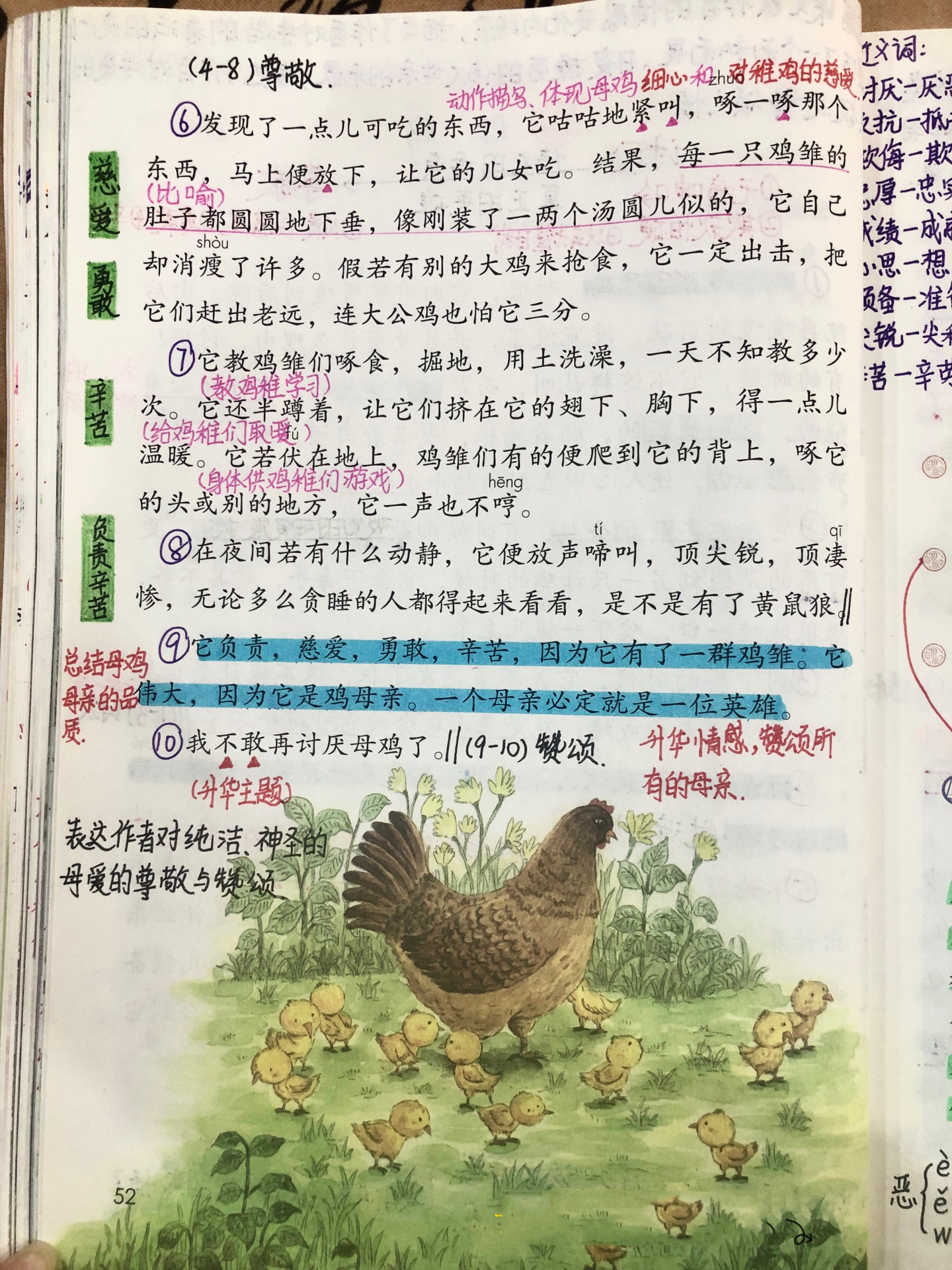 【四年级(下)】第四单元14课《母鸡