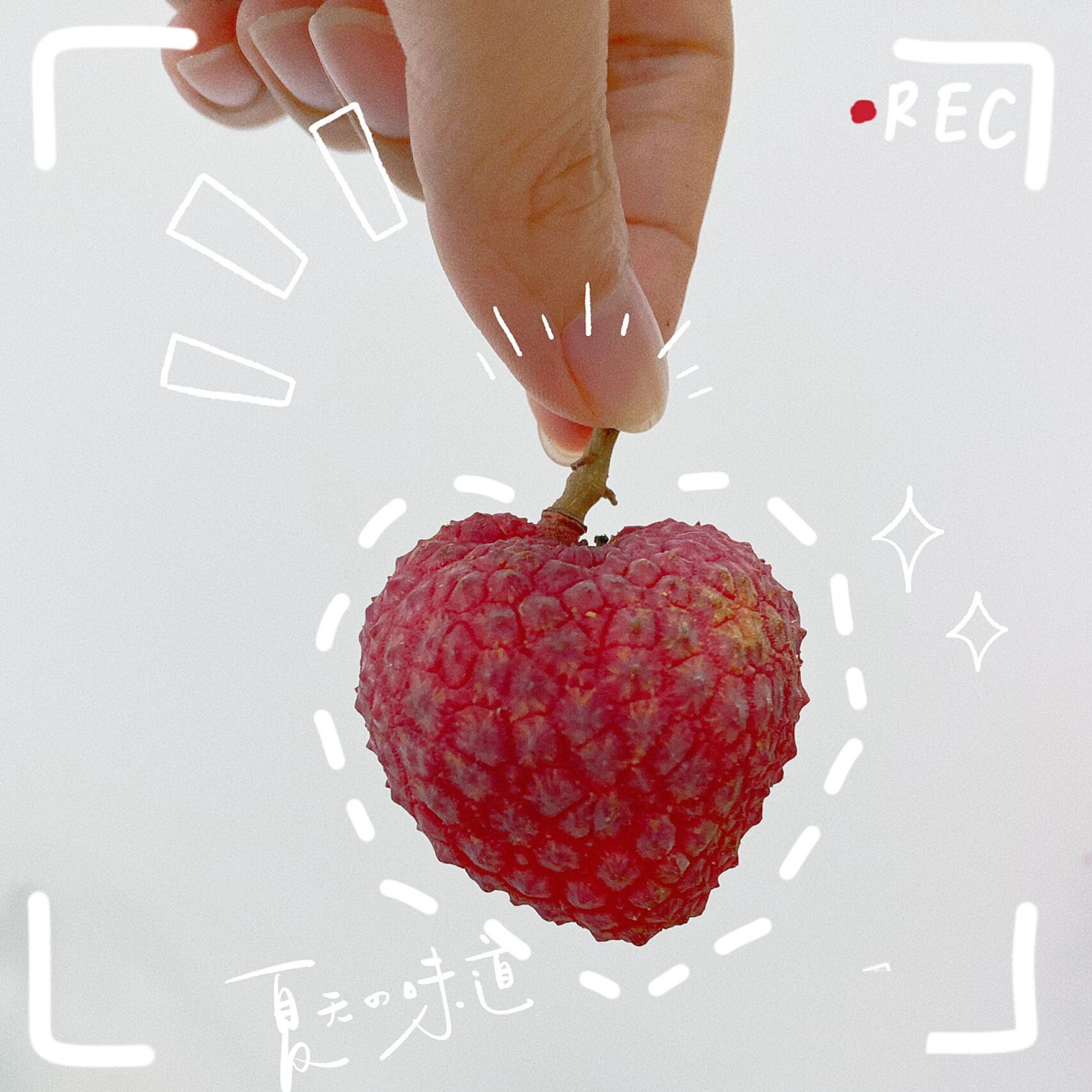 情人荔 这个夏天,连荔枝都是爱你的模样7815