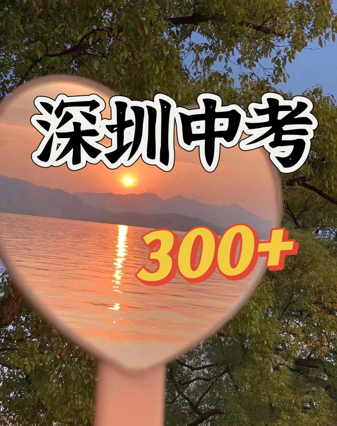 300分  读盐港中学  是一所公办综合型高中.