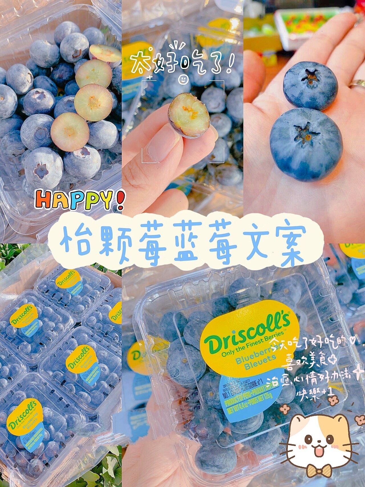 怡颗莓蓝莓文案