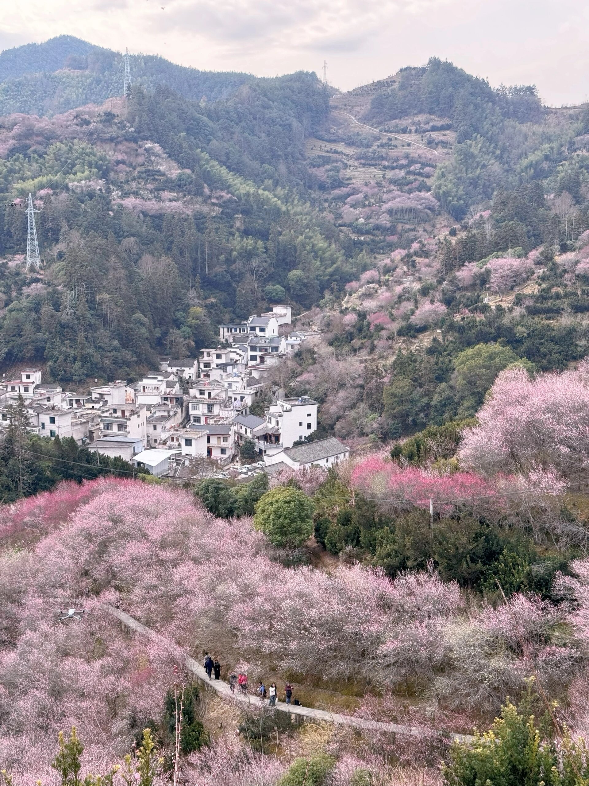 诗里的柳暗花明又一村