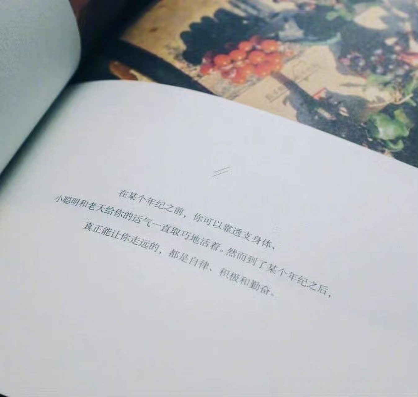 『lessismore』 极简主义 | 精要主义 | 马太效应 | 断舍离 选择