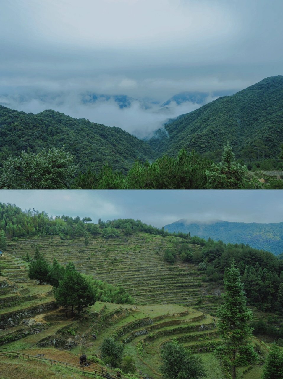 莆田仙游前溪村图片