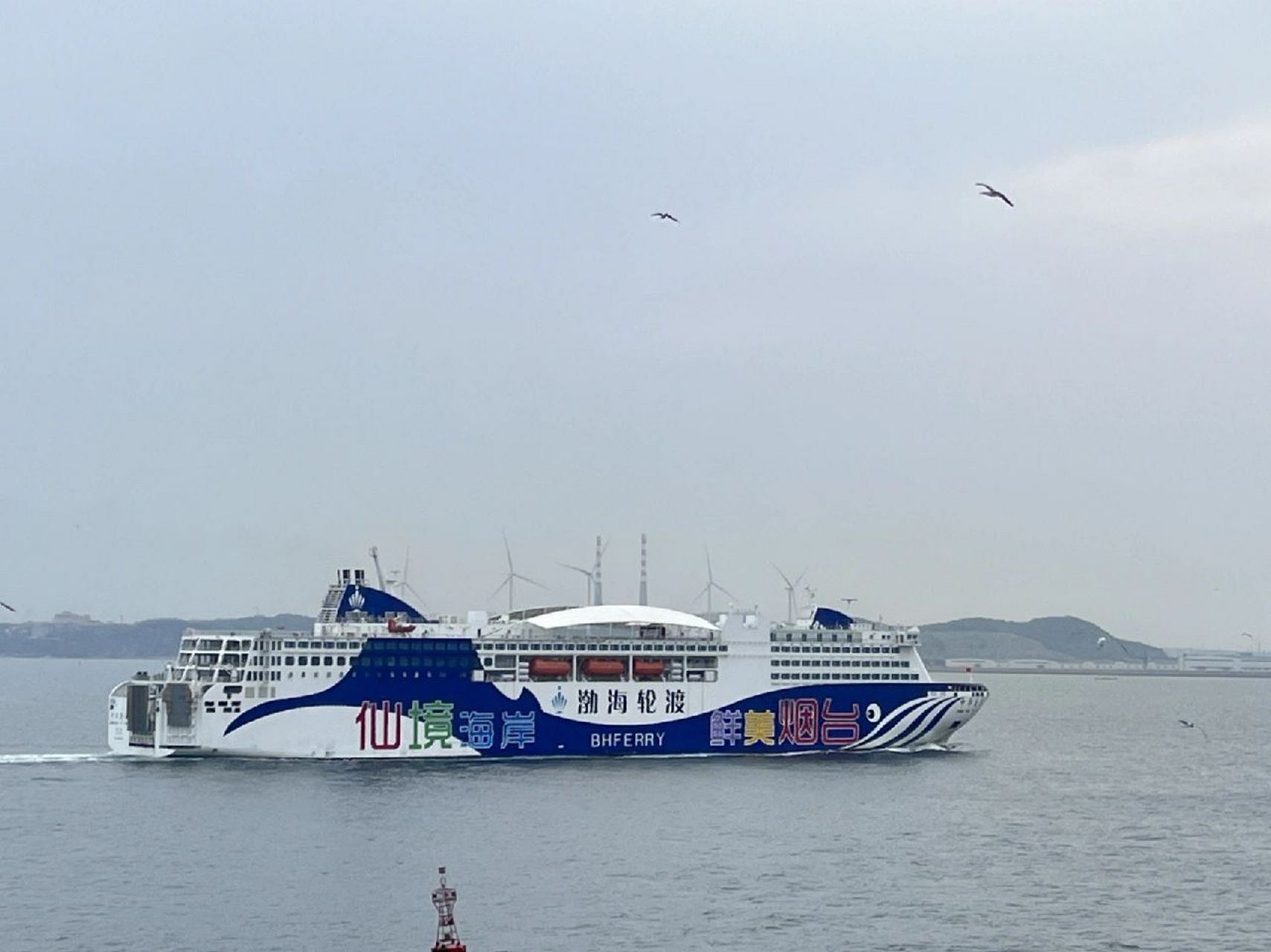 大连到烟台渤海轮渡学生党保姆级攻略 疫情封校半年,刚好趁着放假赶紧