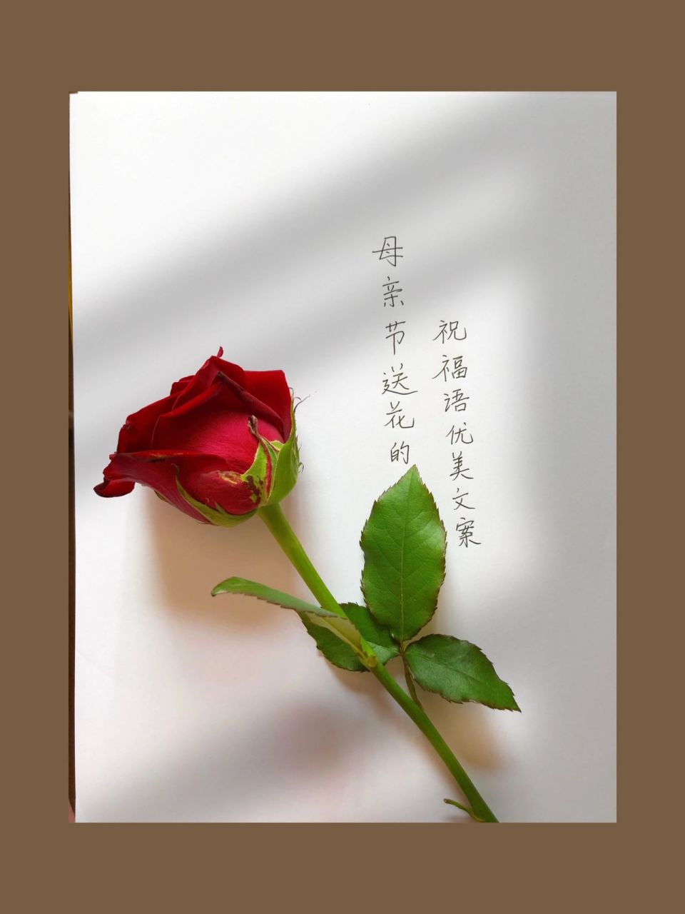 母亲节送花的祝福语优美文案2‖98线上花   7815 1,你用优美的
